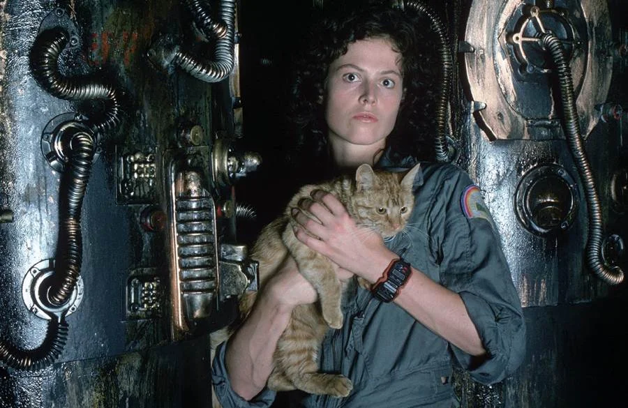 Clássico de 1979, 'Alien' ainda hoje nos prende, sufoca e prova como se faz ficção científica de verdade.